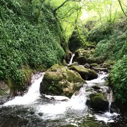 Dollar Glen - Dollar