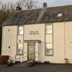 Dollar Museum - Dollar