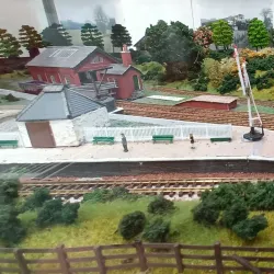 Dollar Museum - Dollar