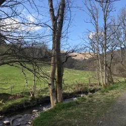 Dollar Museum - Dollar