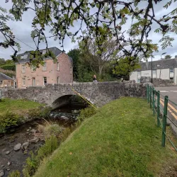 Dollar Museum - Dollar