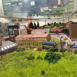 Dollar Museum - Dollar