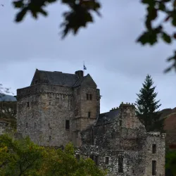 Dollar Museum - Dollar