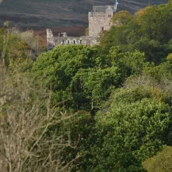 Dollar Museum - Dollar