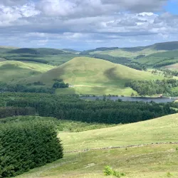 Ochil Hills - Dollar