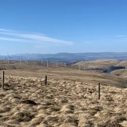 Ochil Hills - Dollar