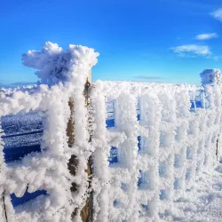 Ochil Hills - Dollar