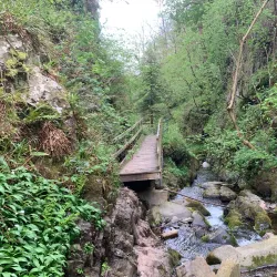 Ochil Hills - Dollar