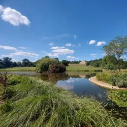 Cusworth Hall and Park - Doncaster