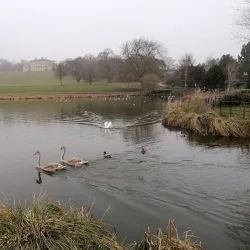 Cusworth Hall and Park - Doncaster