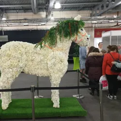 Doncaster Racecourse - Doncaster