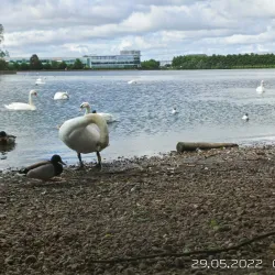 Keepmoat Stadium - Doncaster