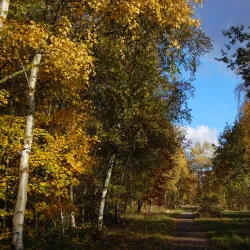 Potteric Carr Nature Reserve - Doncaster