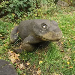 Potteric Carr Nature Reserve - Doncaster