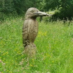 Potteric Carr Nature Reserve - Doncaster