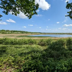 Potteric Carr Nature Reserve - Doncaster
