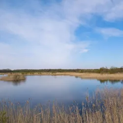 Potteric Carr Nature Reserve - Doncaster