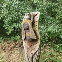 Potteric Carr Nature Reserve - Doncaster