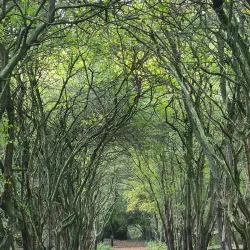 Potteric Carr Nature Reserve - Doncaster