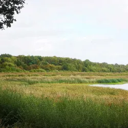 Potteric Carr Nature Reserve - Doncaster