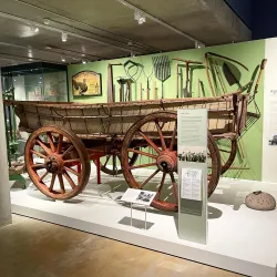 Dorset County Museum - Dorchester