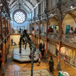 Dorset County Museum - Dorchester