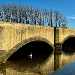 River Frome Walks - Dorchester