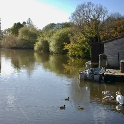 River Frome Walks - Dorchester
