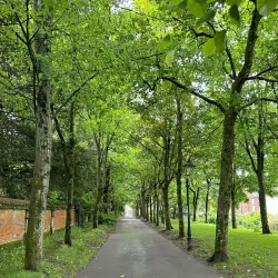 The Borough Gardens - Dorchester