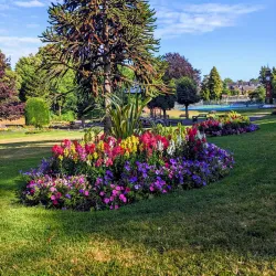 The Borough Gardens - Dorchester