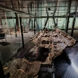 Dover Museum - Dover