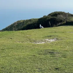 Langdon Battery - Dover
