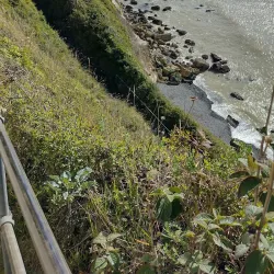 Langdon Cliffs - Dover