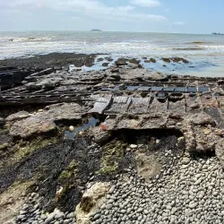 Langdon Cliffs - Dover