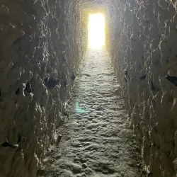 Langdon Cliffs - Dover