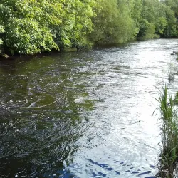 Allan Water - Dunblane