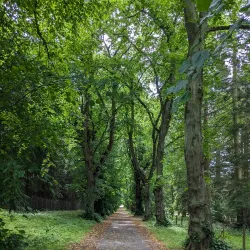 Camperdown Country Park - Dundee