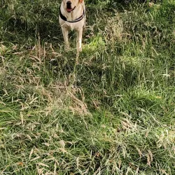 Camperdown Country Park - Dundee