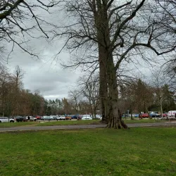 Camperdown Country Park - Dundee