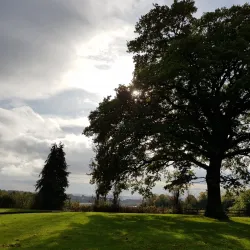 Camperdown Country Park - Dundee