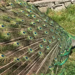 Camperdown Wildlife Centre - Dundee