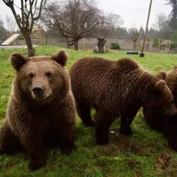 Camperdown Wildlife Centre - Dundee