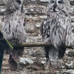 Camperdown Wildlife Centre - Dundee