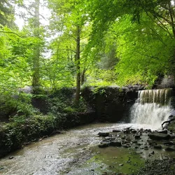 Pittencrieff Park - Dunfermline