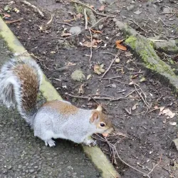 Pittencrieff Park - Dunfermline