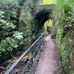 Pittencrieff Park - Dunfermline