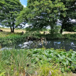 Crook Hall and Gardens - Durham