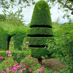 Crook Hall and Gardens - Durham