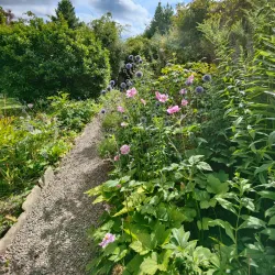 Crook Hall and Gardens - Durham