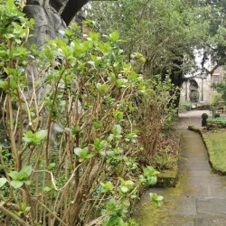 Durham Heritage Centre and Museum - Durham